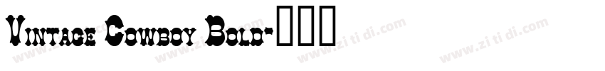 Vintage Cowboy Bold字体转换